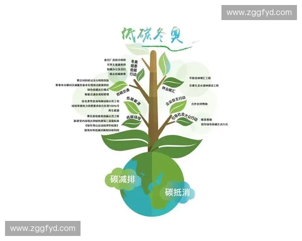 围绕球场维护刷应用与管理的全面优化与可持续发展策略探讨研究