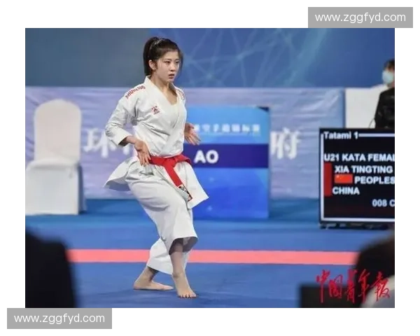 空手道技艺的传承与发展探索如何融入现代健身与精神修养 空手道技艺的传承与发展探索如何融入现代健身与精神修养