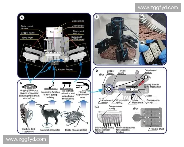 基于体能监控系统的智能健康管理与运动表现提升方案研究
