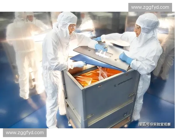 水阻减小技术研究及其在提升流体运输效率中的应用